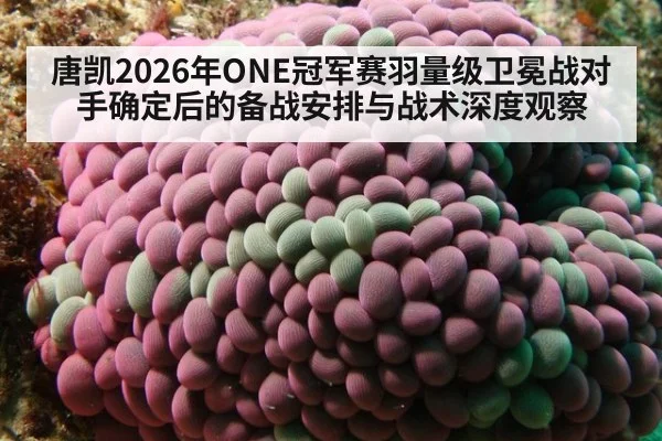 唐凯2026年ONE冠军赛羽量级卫冕战对手确定后的备战安排与战术深度观察
